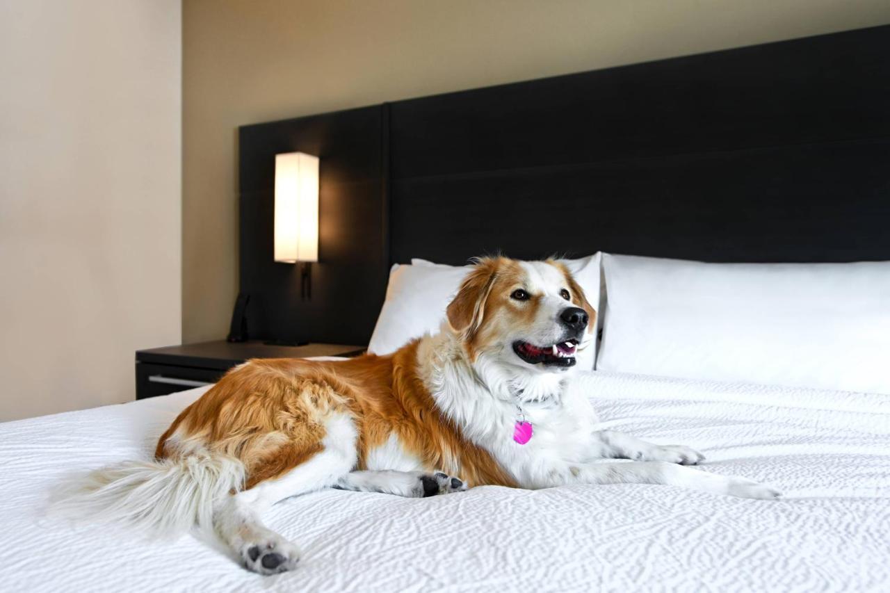 Residence Inn Steamboat Springs Esterno foto